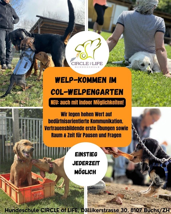 Welpen_jederzeit